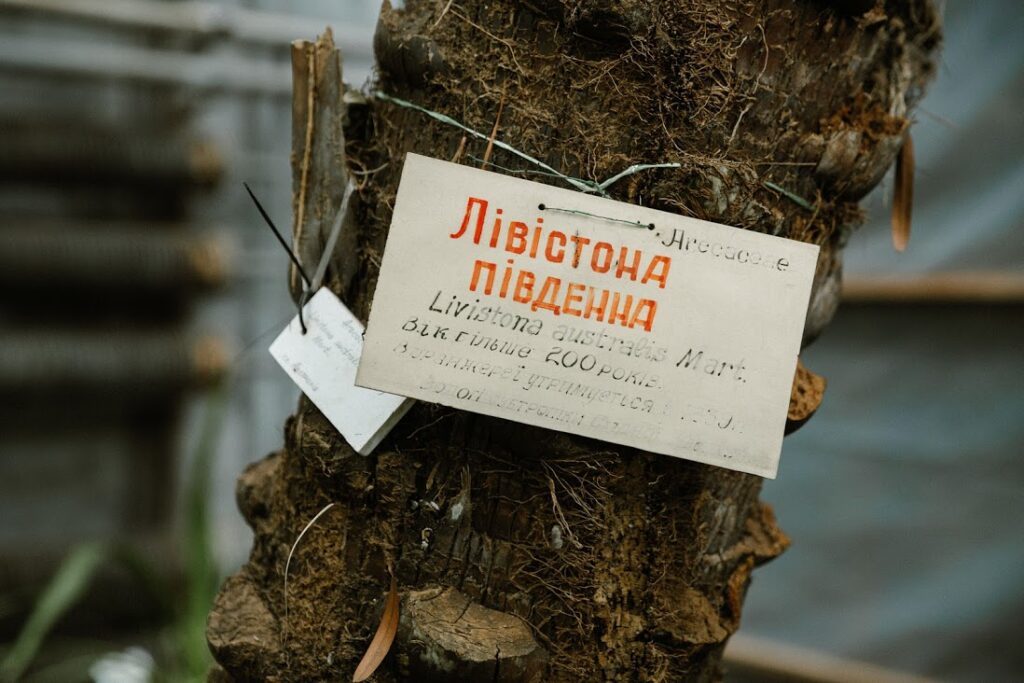 У Києві відкрили 30-ту бронзову мініскульптурку “Шукай!”, присвячену київській пальмі.