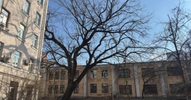 Дуб Миколи Пимоненка